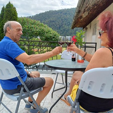 Apartma Ginga Osilnica Zewnętrze zdjęcie